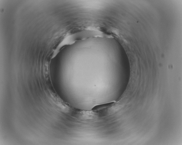 X0000088600528200706081356