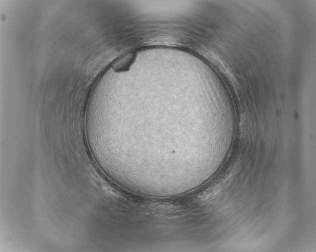 X0000088600529200706081355