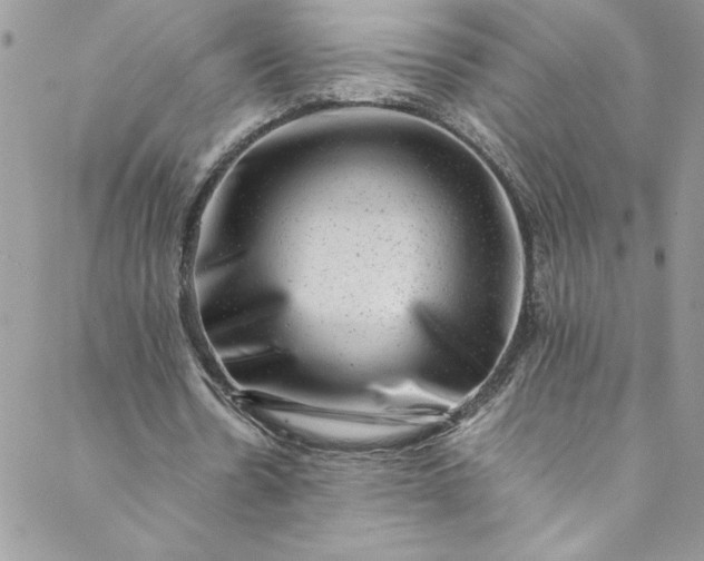 X0000088600530200706081355