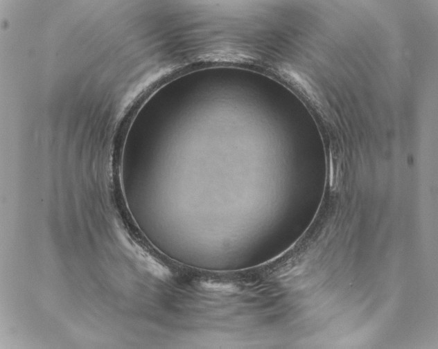 X0000088600531200706081355