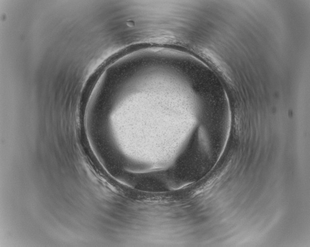 X0000088600532200706081355