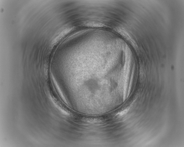 X0000088600533200706081355