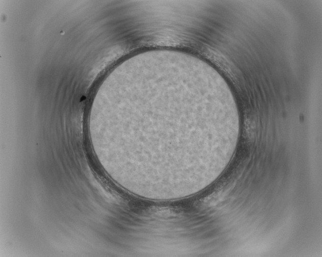 X0000088600534200706081355