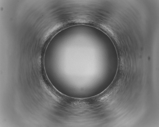 X0000088600535200706081355