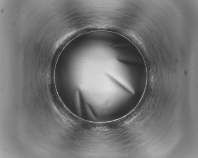 X0000088600536200706081355