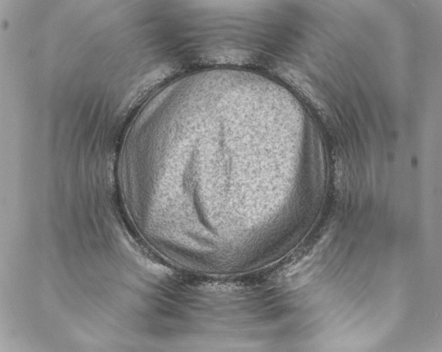 X0000088600537200706081355