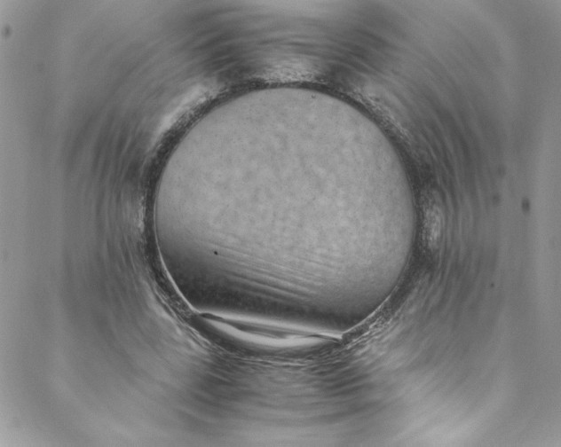 X0000088600539200706081355