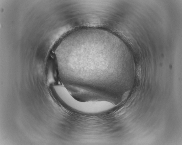 X0000088600540200706081355