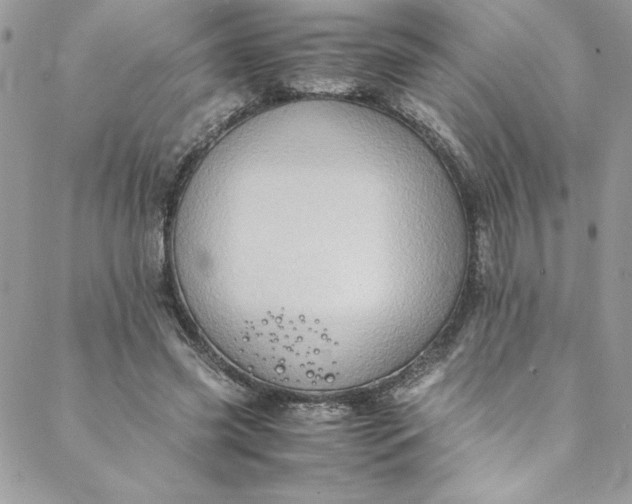 X0000088600541200706081355