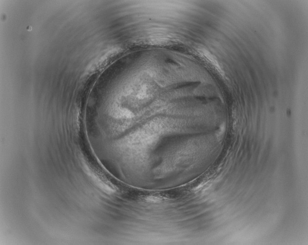 X0000088600542200706081355