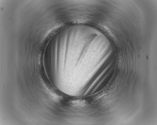 X0000088600543200706081355