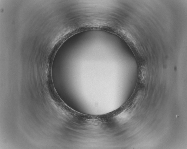 X0000088600544200706081355