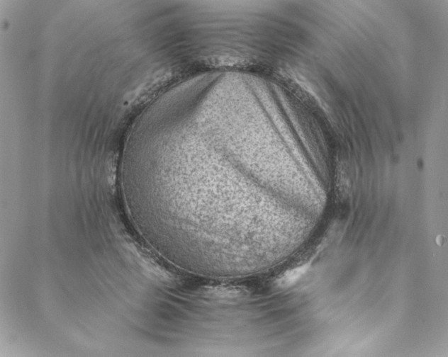 X0000088600545200706081355