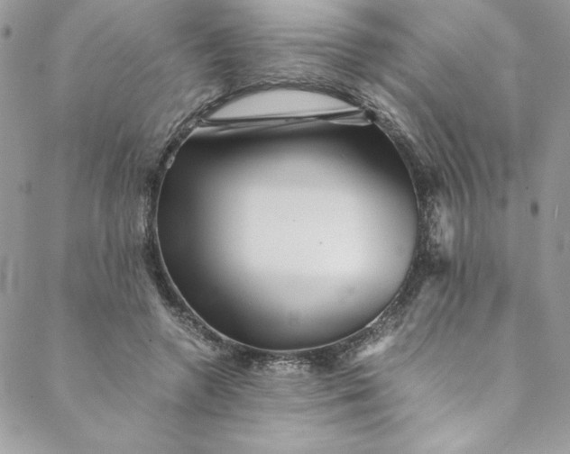 X0000088600546200706081355