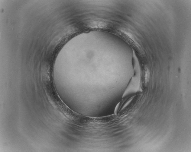 X0000088600547200706081355