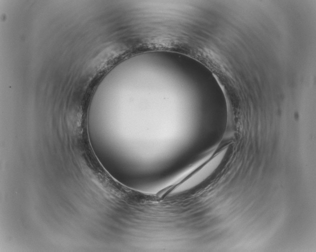 X0000088600548200706081355