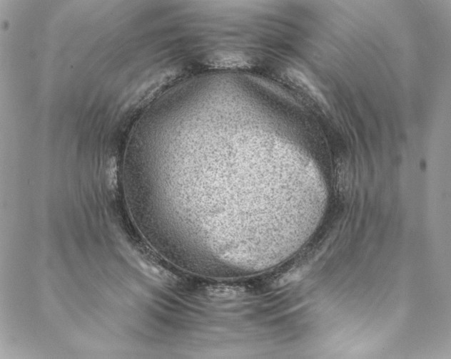 X0000088600549200706081355