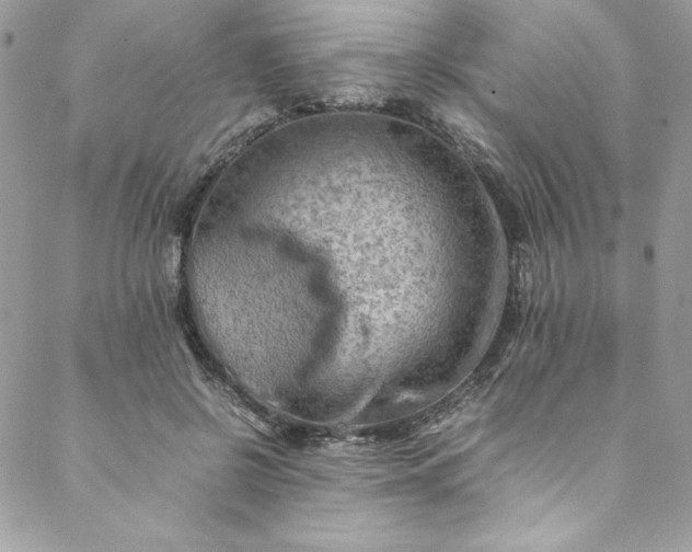 X0000088600550200706081355