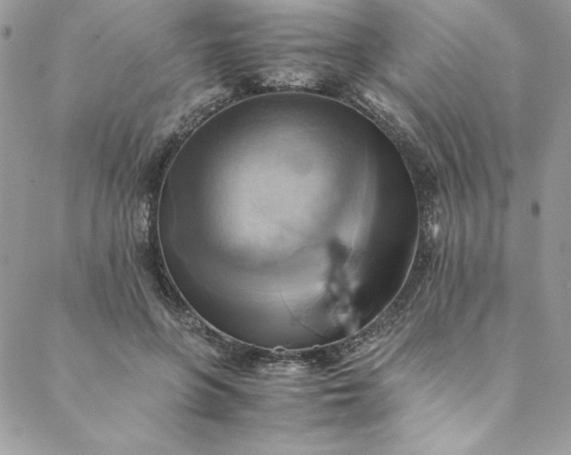 X0000088600551200706081355