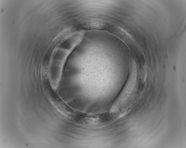 X0000088600552200706081355