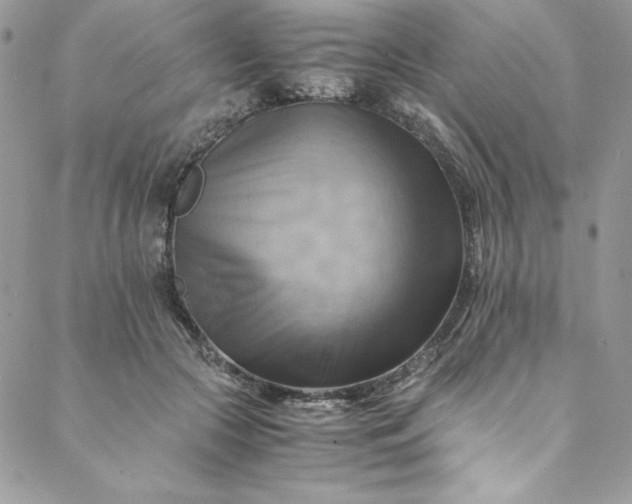 X0000088600553200706081355