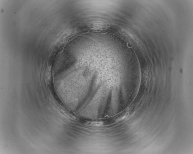 X0000088600554200706081355