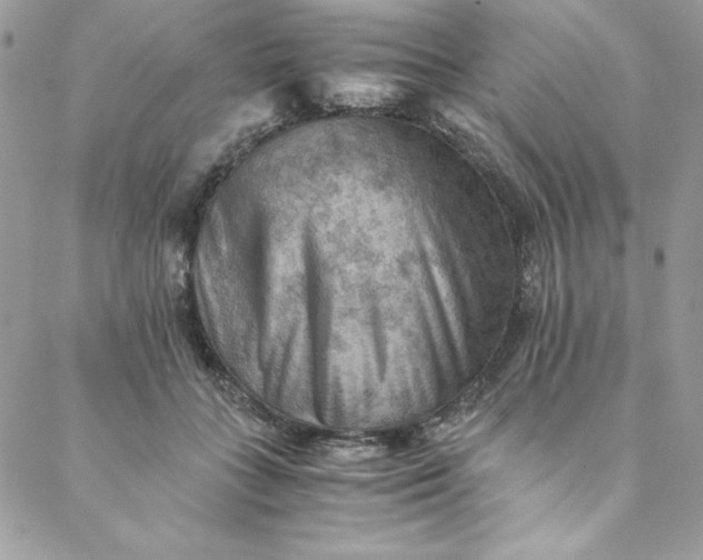 X0000088600555200706081355