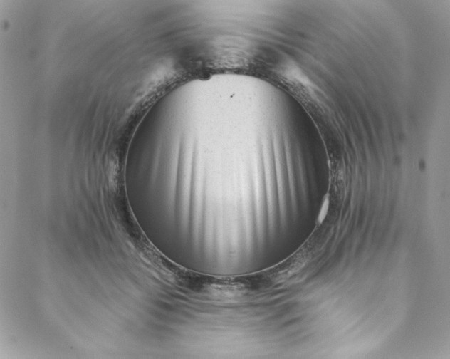 X0000088600556200706081355