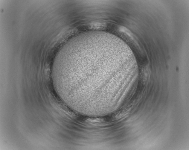 X0000088600557200706081355