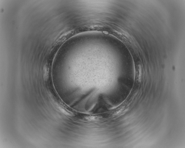 X0000088600558200706081355