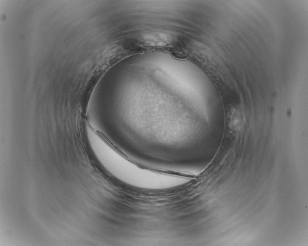 X0000088600559200706081355