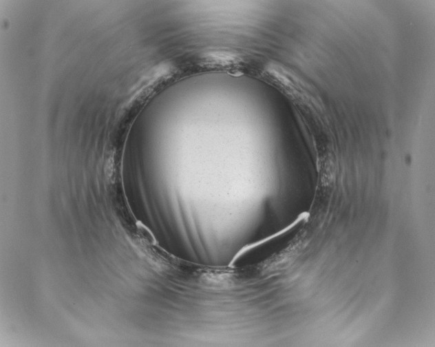 X0000088600560200706081355