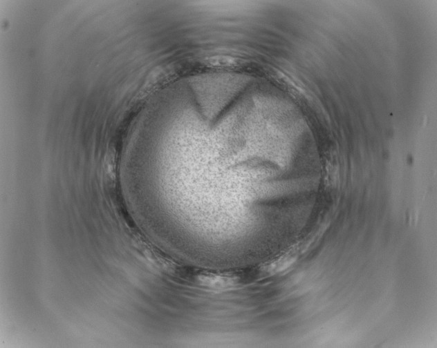 X0000088600561200706081355