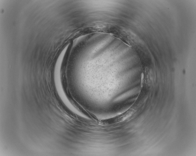 X0000088600562200706081356