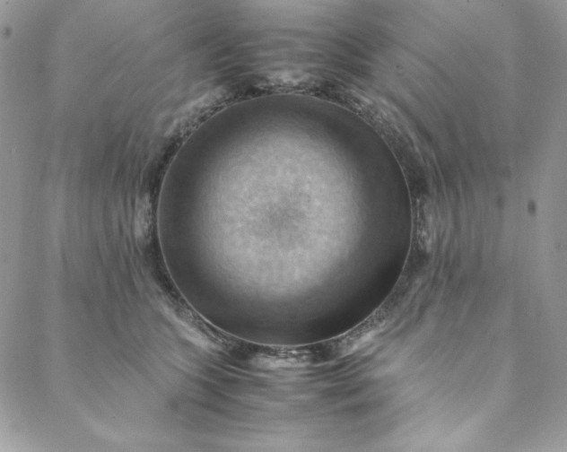 X0000088600563200706081356