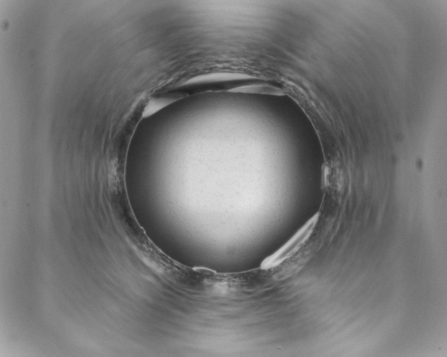 X0000088600564200706081356