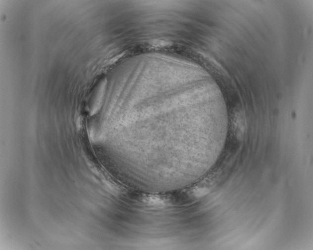 X0000088600565200706081356