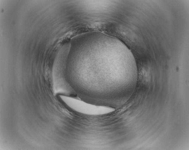 X0000088600566200706081356