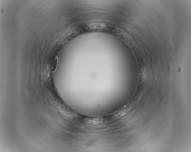 X0000088600567200706081356