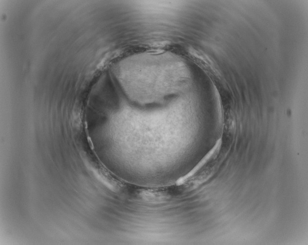 X0000088600568200706081356