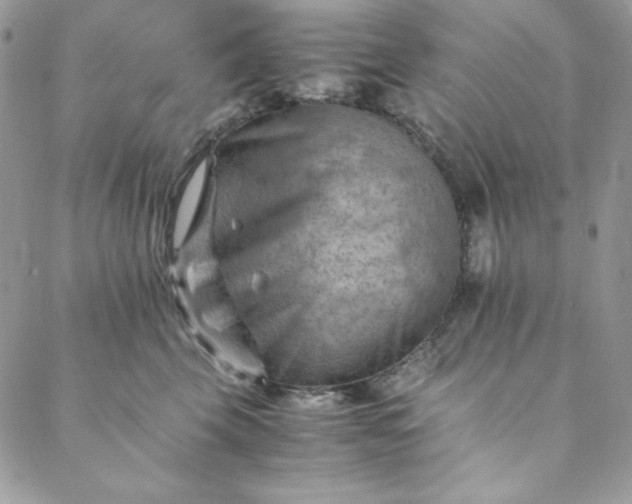 X0000088600569200706081356