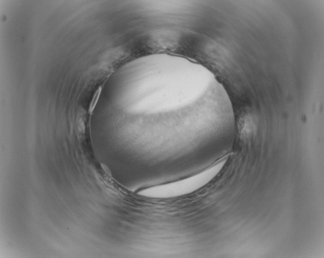 X0000088600570200706081356