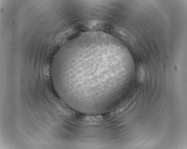 X0000088600571200706081356