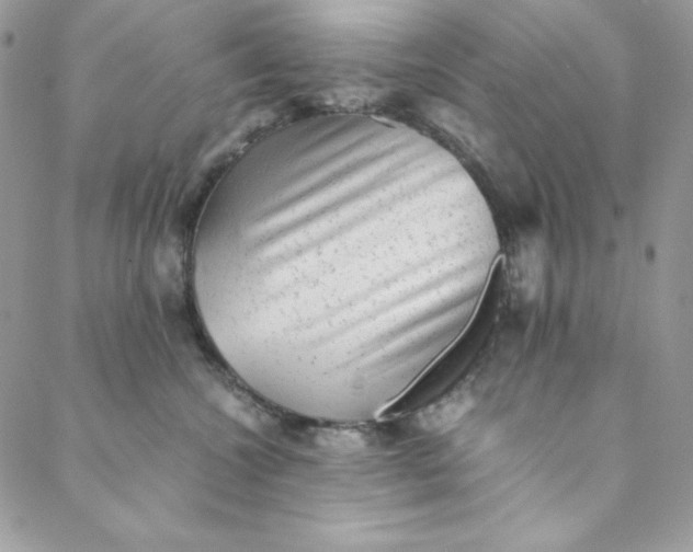 X0000088600572200706081356