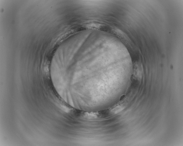 X0000088600573200706081356