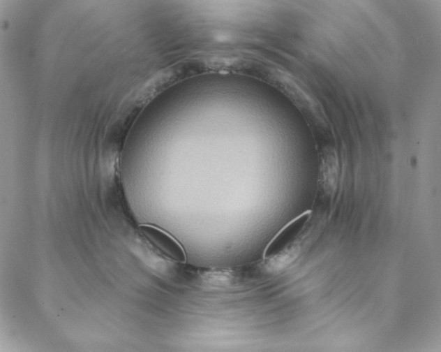 X0000088600574200706081356