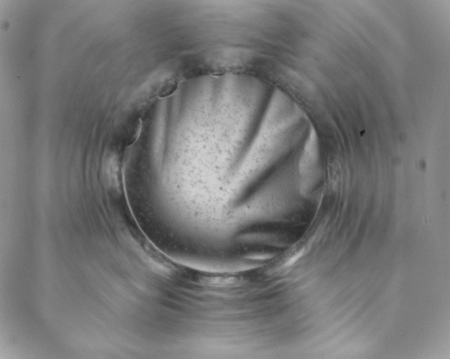 X0000088600575200706081356