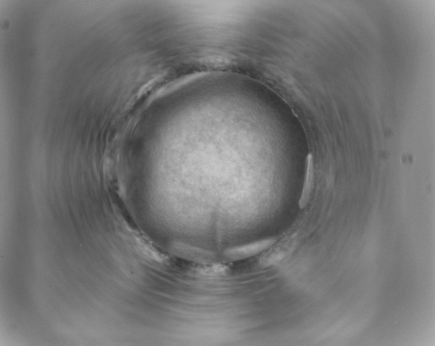 X0000088600576200706081356