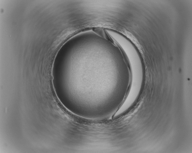 X0000088600577200706081355