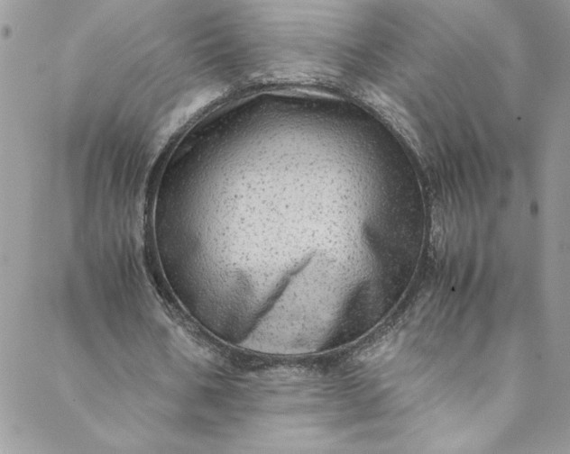 X0000088600578200706081355